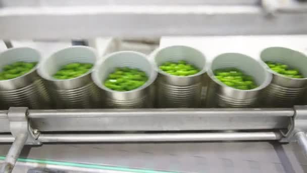 Grüne Erbsen Auf Einem Förderband Einer Produktionsanlage Für Konserven — Stockvideo
