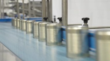 Bir konserve gıda üretim tesisinde konvoy kuşağında yeşil bezelyeler.