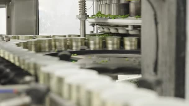 罐头食品生产装置中锥形带上的绿豆 — 图库视频影像