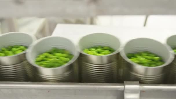 Bir Konserve Gıda Üretim Tesisinde Konvoy Kuşağında Yeşil Bezelyeler — Stok video