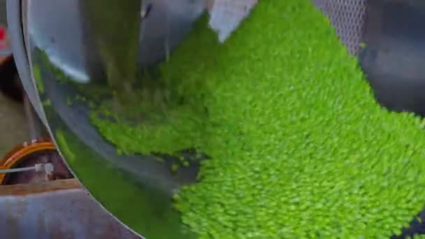 Guisantes Verdes Una Cinta Transportadora Una Instalación Producción Alimentos Enlatados — Vídeos de Stock