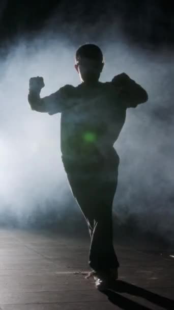 Dansçı Yavaş Çekimde Hip Hop Dansı Yapıyor Işık Duman Arka — Stok video