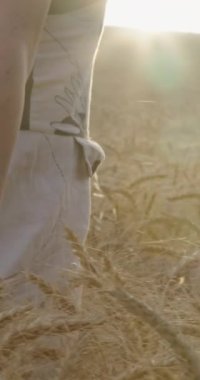 Altın buğday alanında günbatımı sırasında yürüyen kadın