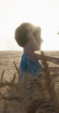 Gün batımında altın bir tarlada sarılıyorlar.