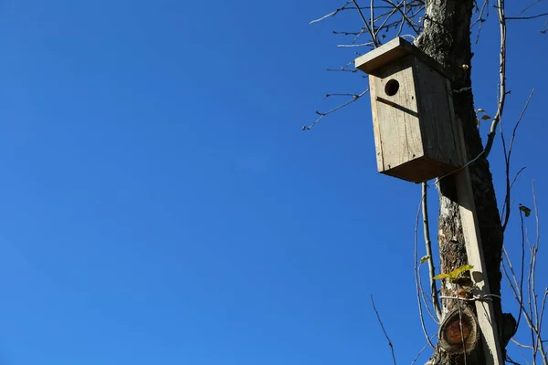 Uma Casa Pássaros Ucrânia — Fotografia de Stock
