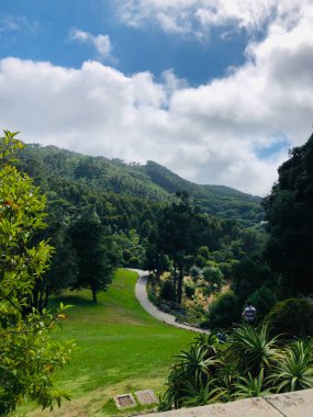 Yeşil alan ve dağlardan oluşan panoramik bir manzara.