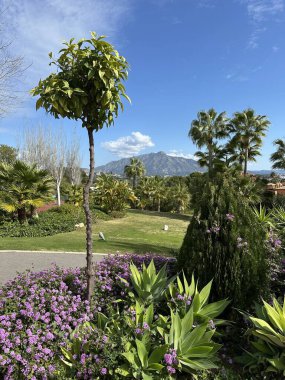La concha mountain Marbella