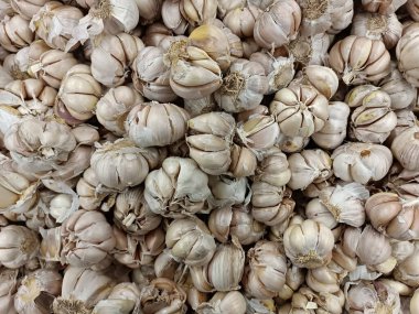 Gıda pazarında taze sarımsak