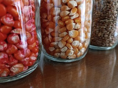 Kurutulmuş çiğ mısır ve Sorghum tohumlu cam kavanoz.
