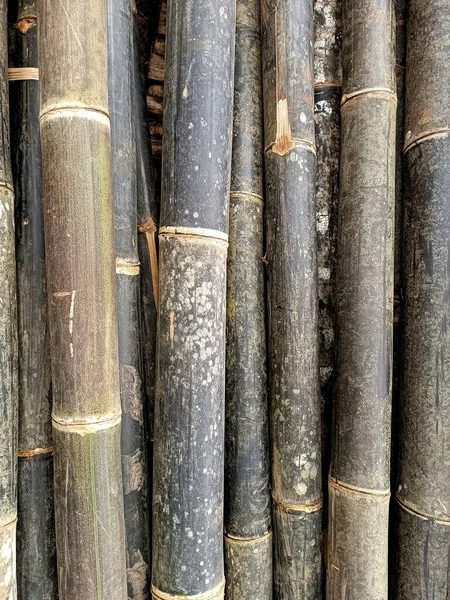 stock image black bamboo sticks for construction material