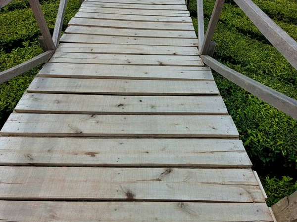 Tahta Köprüsü Olan Çay Bahçesi Manzarası — Stok fotoğraf