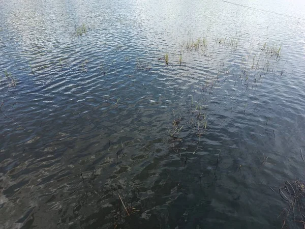 View Water Surface Lake — ストック写真