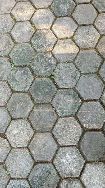 The surface of the paving blocks in a public facility garden
