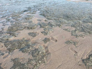 Kum ve suyla dolu bir sahil. Su bulanık ve kum ıslak, kumsala çamurlu bir görünüm kazandırıyor. Manzara biraz kasvetli ve davetsiz.