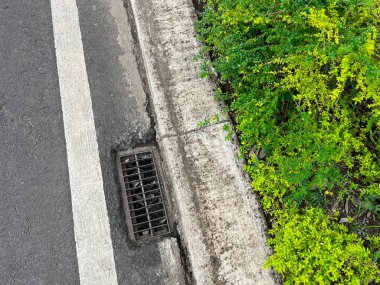 Yeşil bitki örtüsü ve beton kaldırımla çevrili yol kenarı kanalizasyon ızgarası..