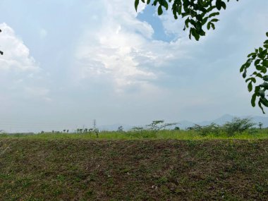 Bulutlu bir gökyüzünün ve uzak dağların altında çimenli bir tarlaya sahip huzurlu bir manzara..