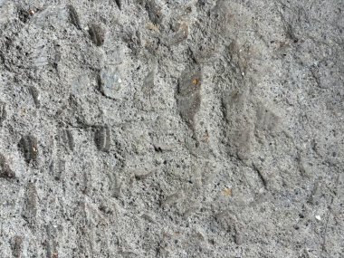 Görünür patte ile desenli gri kaya veya toprağın yakın görüntüsü