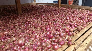 Tahta bir sandıkta sergilenen büyük bir arpacık soğanı koleksiyonu.