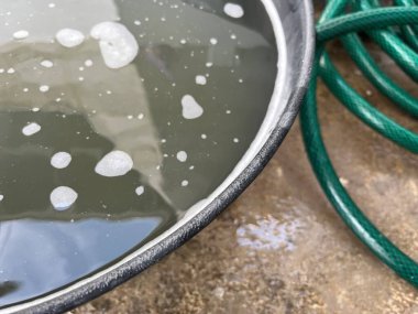 Yeşil bir gardın yanında, baloncuklu, sığ bir kase bulanık su.