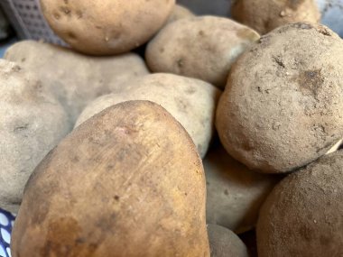 Patates yığını yemeğin taze, sağlıklı ve çeşitli yemeklerde pişirilmeye hazır olduğunu gösteriyor..