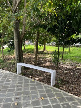 Beyaz bir bank ağaçlarla çevrili bir parkta oturuyor ve kaldırımlı bir yol, oturacak ve dinlenecek bir yer sunuyor..