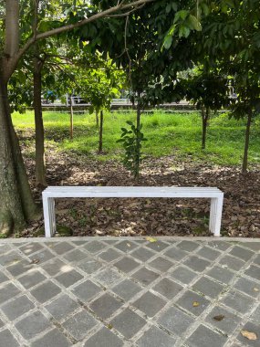 Beyaz bir bank, ağaçların altında çimenli bir parkın yakınındaki fayanslı bir geçitte dinlenmek ya da düşünmek için yer sağlar..