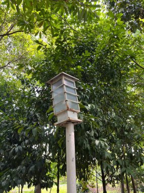 Açık hava parkında yeşil ağaçlarla çevrili bir elektrik direği, akşam yürüyüşleri için aydınlatma sağlıyor..