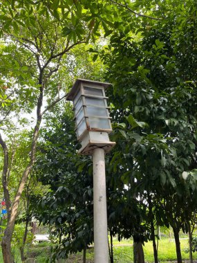 Kaliteli bir fener, çimento bir direğin tepesinde yemyeşil yaprakların arasında durur. Bahçe yolu ya da açık alan için ortam aydınlatması sağlar..