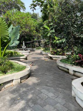 Asfaltlı bir patika, canlı yeşil bitkiler ve ağaçlarla çevrili yemyeşil bir bahçeye çıkar. Rahatlamak ve düşünmek için sakin bir atmosfer yaratır..