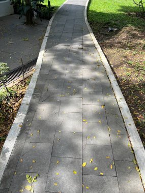 Düşen yapraklarla dolu bir bahçede taş bir patika kıvrılır, sakin bir yürüyüş için mükemmel manzaralı bir yürüyüş yolu yaratır..