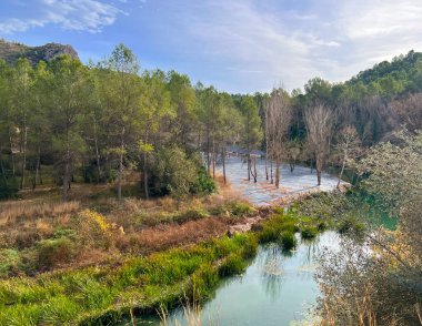 İspanya, Valencia 'da kış ormanlarında yürüyüş..