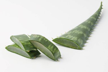 aloe ve aloe yaprakları beyaz arkaplanda izole edilmiş