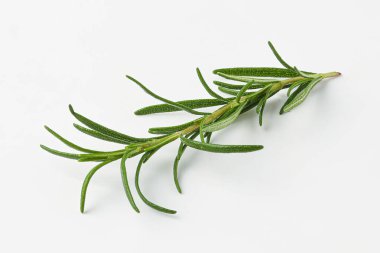 Biberiye, biberiye yaprağı, bitki yaprağı beyaz arka planda izole edilmiş.