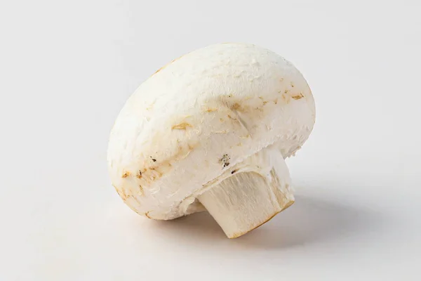 Mushroom Toadstool White Mushroom Button Mushroom Isolated White Background — Stock Photo, Image
