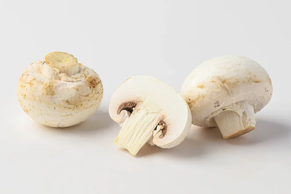 Cogumelo Toadstool Cogumelo Branco Cogumelo Botão Isolado Fundo Branco — Fotografia de Stock