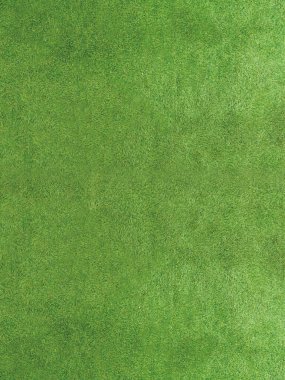 arkaplan olarak yeşil çimen dokusu
