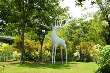 Güzel, beyaz ve sarı bir flamingoyu yakın plan çekimde çimlerin üzerinde otururken ve yeşil bitkiler