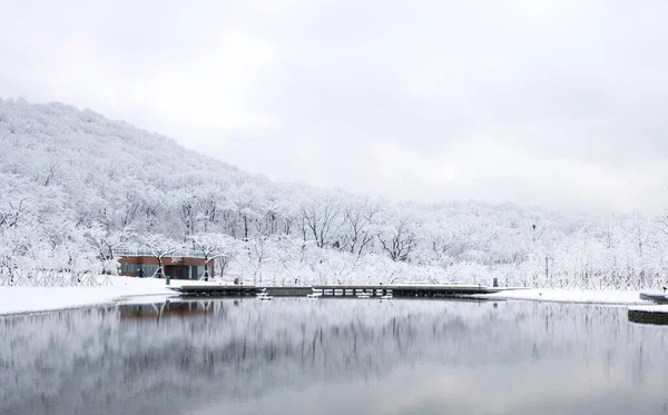 Dağlarda gölü olan güzel bir manzara.
