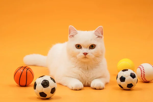 Niedlicher Kleiner Fußball Auf Orangefarbenem Hintergrund — Stockfoto