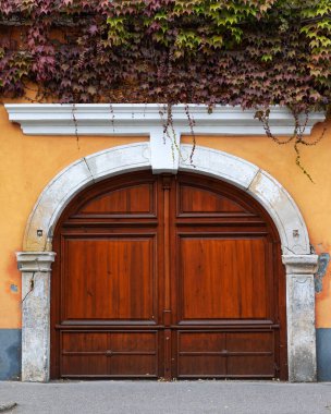 Macaristan 'da kırmızı tuğladan duvarı olan ahşap kapı.