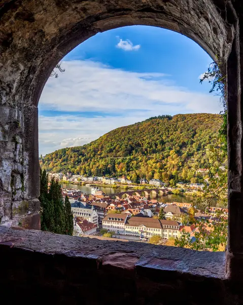 Güneşli bir günde Almanya 'nın Heidelberg şehrinin manzarası