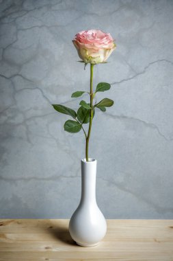 Vintage bir arka plan üzerinde pembe Gül