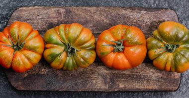 Bir grup Costoluto büyük domatesleri ahşap tabakta, metin için yer var.