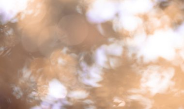 Doğal bokeh tasarımı, güneş ışığı arka planı, yeşil yapraklar, park ve orman, yaratıcı tasarımlar için bulanık ağaçlar