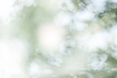 Doğal bokeh tasarımı, güneş ışığı arka planı, yeşil yapraklar, park ve orman, yaratıcı tasarımlar için bulanık ağaçlar