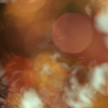 Doğal bokeh tasarımı, güneş ışığı arka planı, yeşil yapraklar, park ve orman, yaratıcı tasarımlar için bulanık ağaçlar