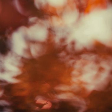 Doğal bokeh tasarımı, güneş ışığı arka planı, yeşil yapraklar, park ve orman, yaratıcı tasarımlar için bulanık ağaçlar