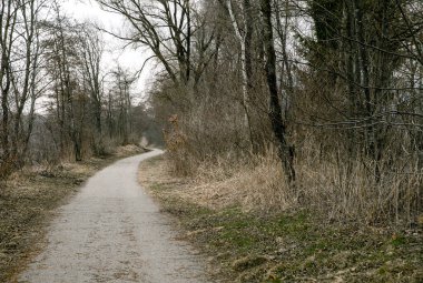 İlkbaharın başlarında ormandaki köy yolu, melankolik ruh hali, stok fotoğrafı.