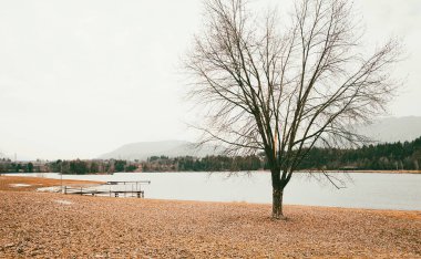 Bir nehir ve bir ağaç ile güzel bahar doğal manzarası, ilkbaharın başında, şehrin yakınında, bulutlu hava, düşünceli ruh hali, stok fotoğrafı