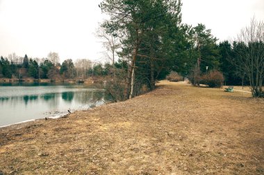 İlkbaharın başlarında ormandaki köy yolu, melankolik ruh hali, stok fotoğrafı.